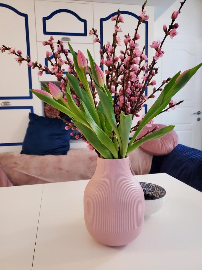 Vintage Apartment In The City Centre Old Town リュブリャナ エクステリア 写真